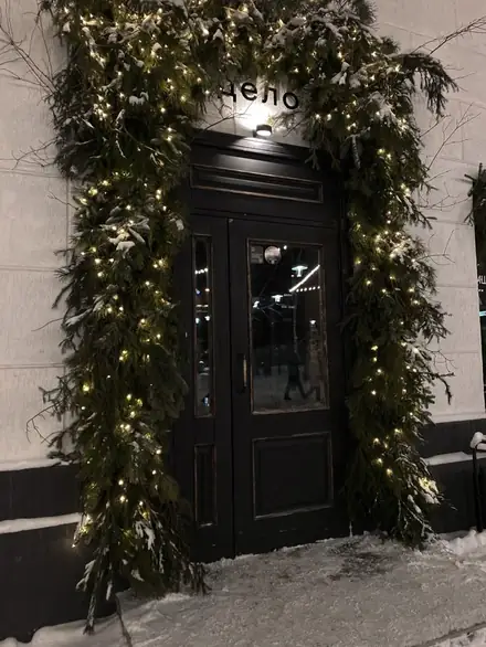 Оформление входной группы — работа ZIMA DECOR, фото 3