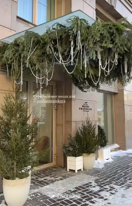 Оформление входной группы — работа ZIMA DECOR, фото 4