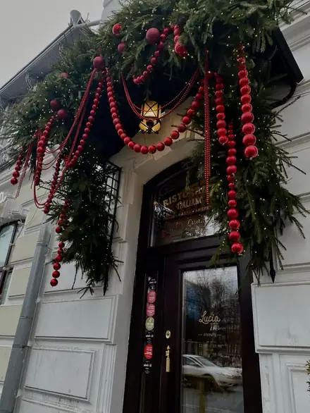 Оформление входной группы — работа ZIMA DECOR, фото 20