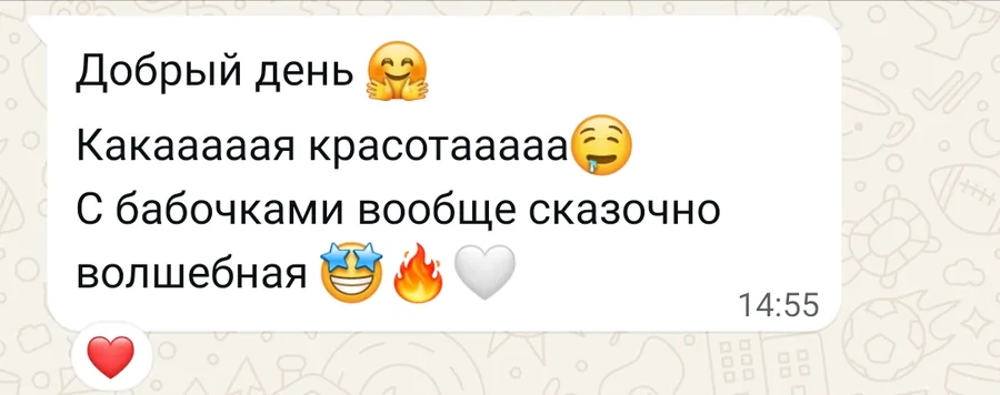 Скриншот отзыва клиента, 9 декабря 2025: Какая красота! С бабочками вообще сказочно волшебная.