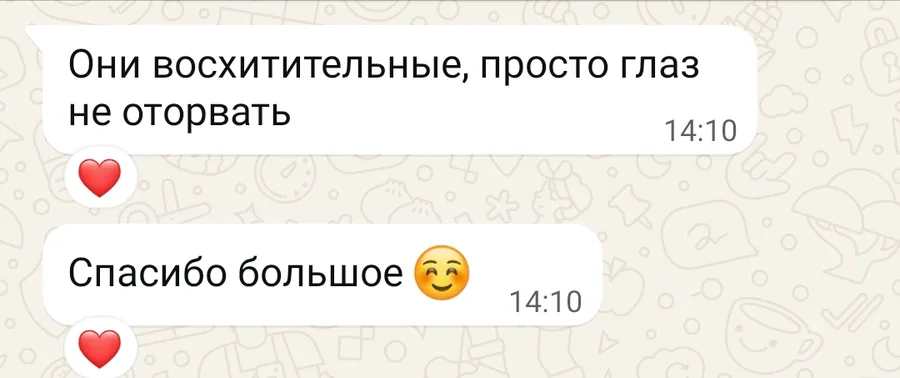 Скриншот отзыва клиента, 9 декабря 2025: Они восхитительные, просто глаз не оторвать. Спасибо большое.