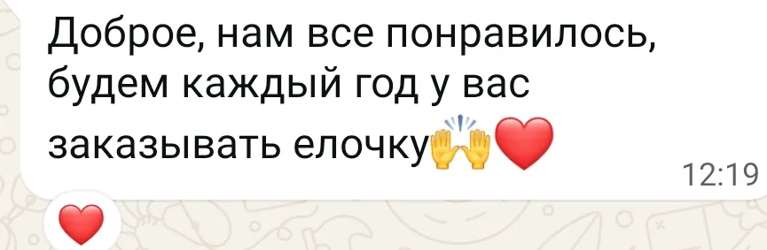 Скриншот отзыва клиента, 22 декабря 2025: Нам всё понравилось, будем каждый год у вас заказывать ёлочку.